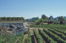 St-Emilion plateau