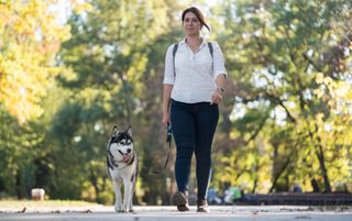 Female owner walking Siberian Husky on leash