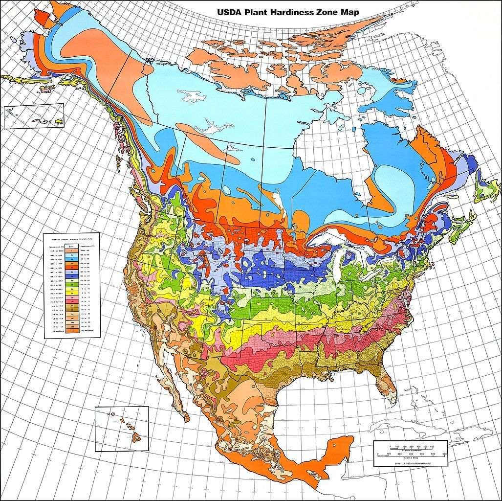 USDA Plant Hardiness Zone Map