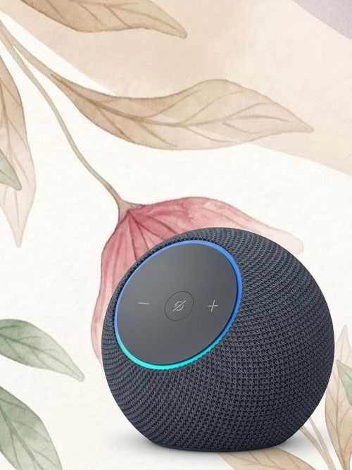 Echo Dot Max
