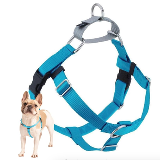 2 Hounds Design Freedom No Pull Dog Harness