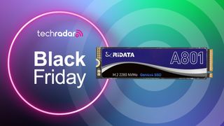 RiDATA A801 2TB NVMe SSD deal