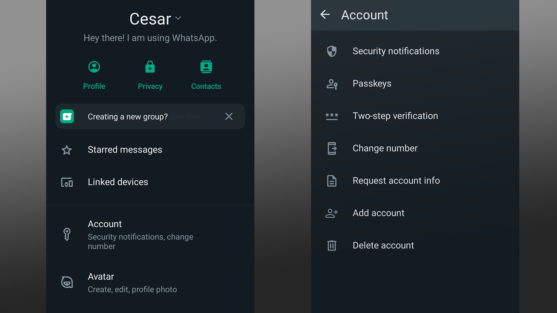 WhatsApp passkey settings