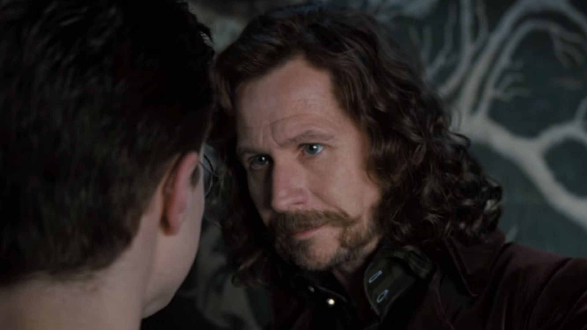 Sirius talking to Harry