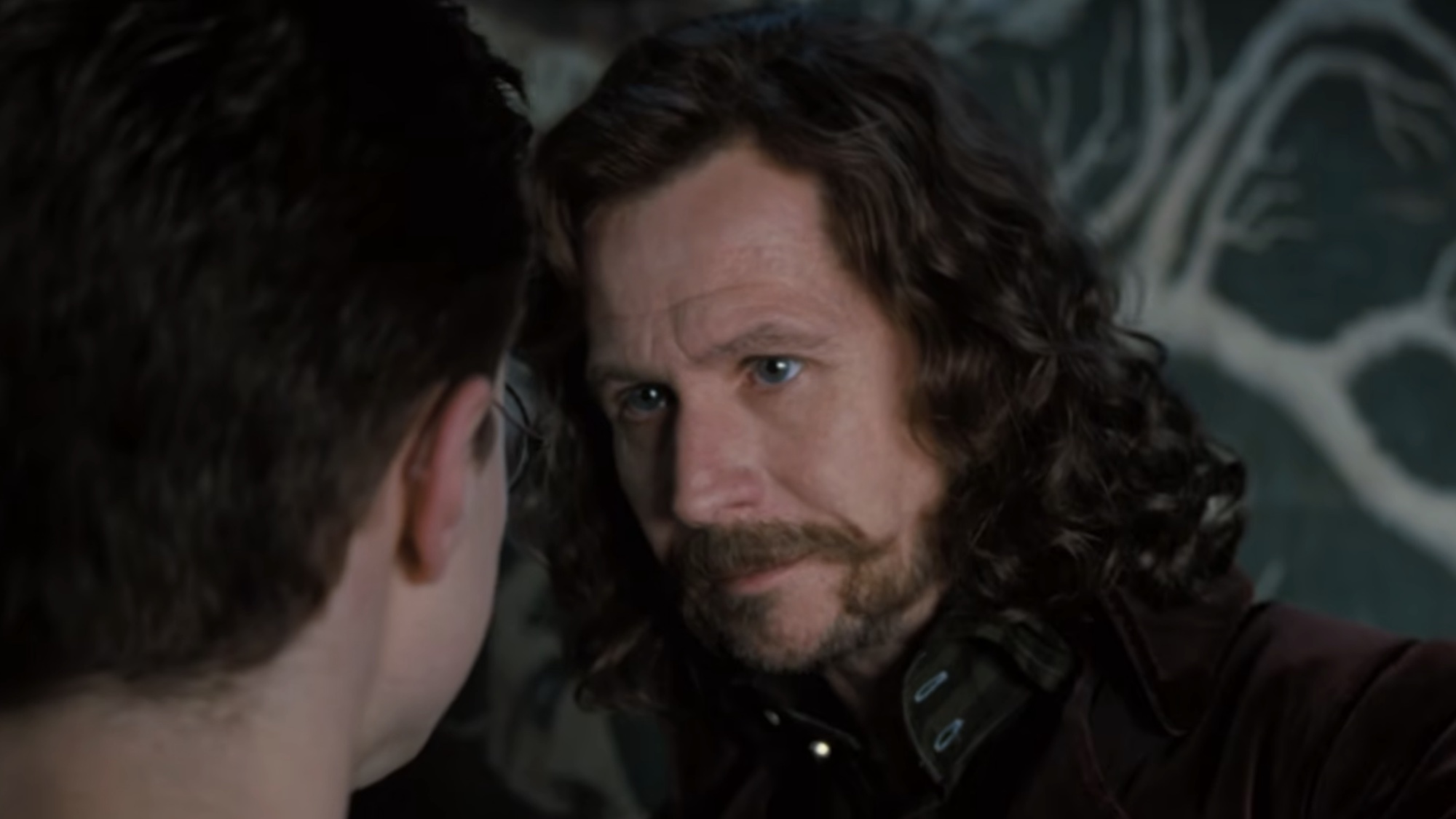 Sirius talking to Harry