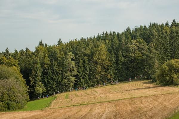 The peloton climbs