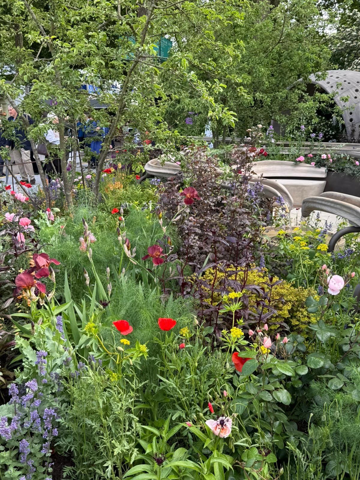 Images of the Parkinson's garden, richly planted and sensory, to reflect some of the symptoms of the disease