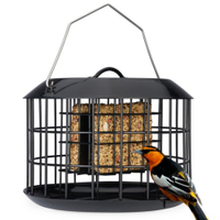 Rodent Proof Suet Feeder | $24.99 at Walmart