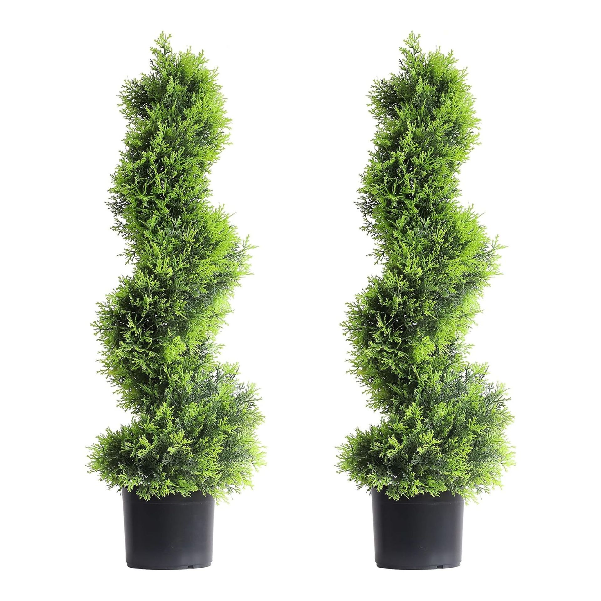 Cyprus Spiral Topiaries