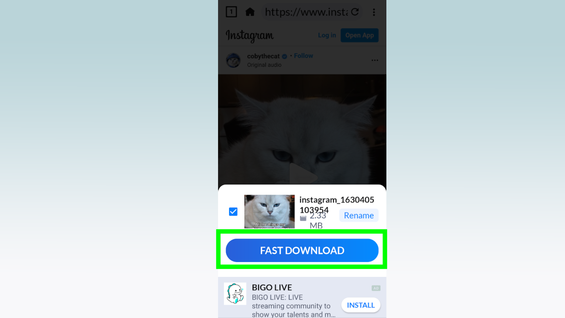 Как скачать Instagram Reels - скриншот кнопки быстрой загрузки, выбранной в приложении Video Downloader