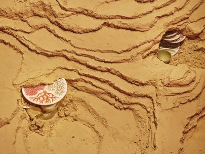 Hermes Tableware with botanical marine illustrations