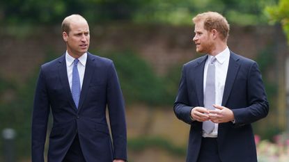Prince Harry's sweet comment to Prince William