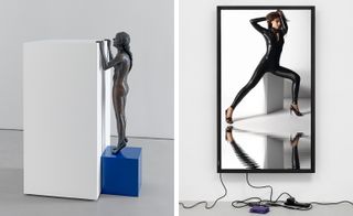 Pictured left: She gives voice, or Trajectory thinking, by Ryan Gander, 2015. Right: Shania / Lakes by Cory Arcangel, 2015.