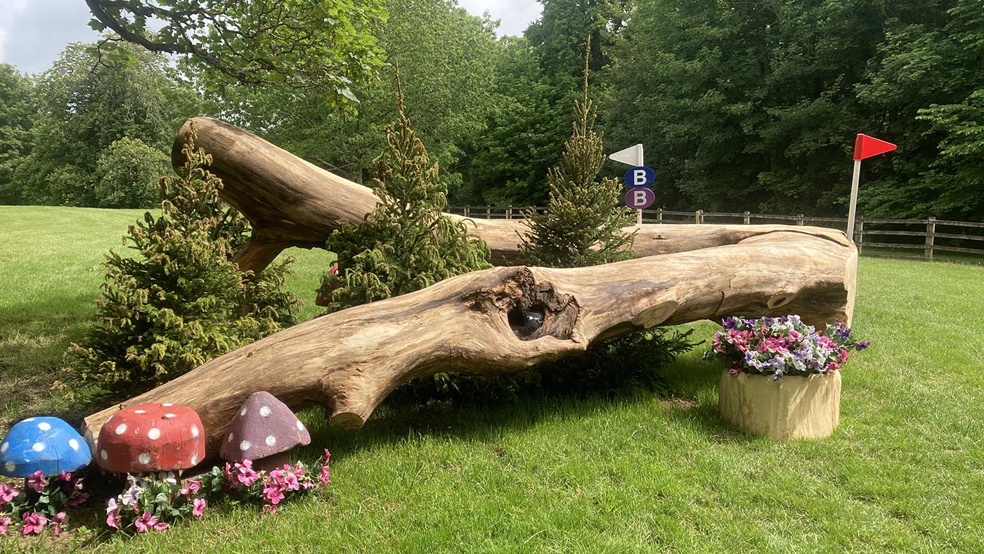 Bicton Horse Trials cross-country course &amp;ndash; fence 7b on the CCI4*-S course