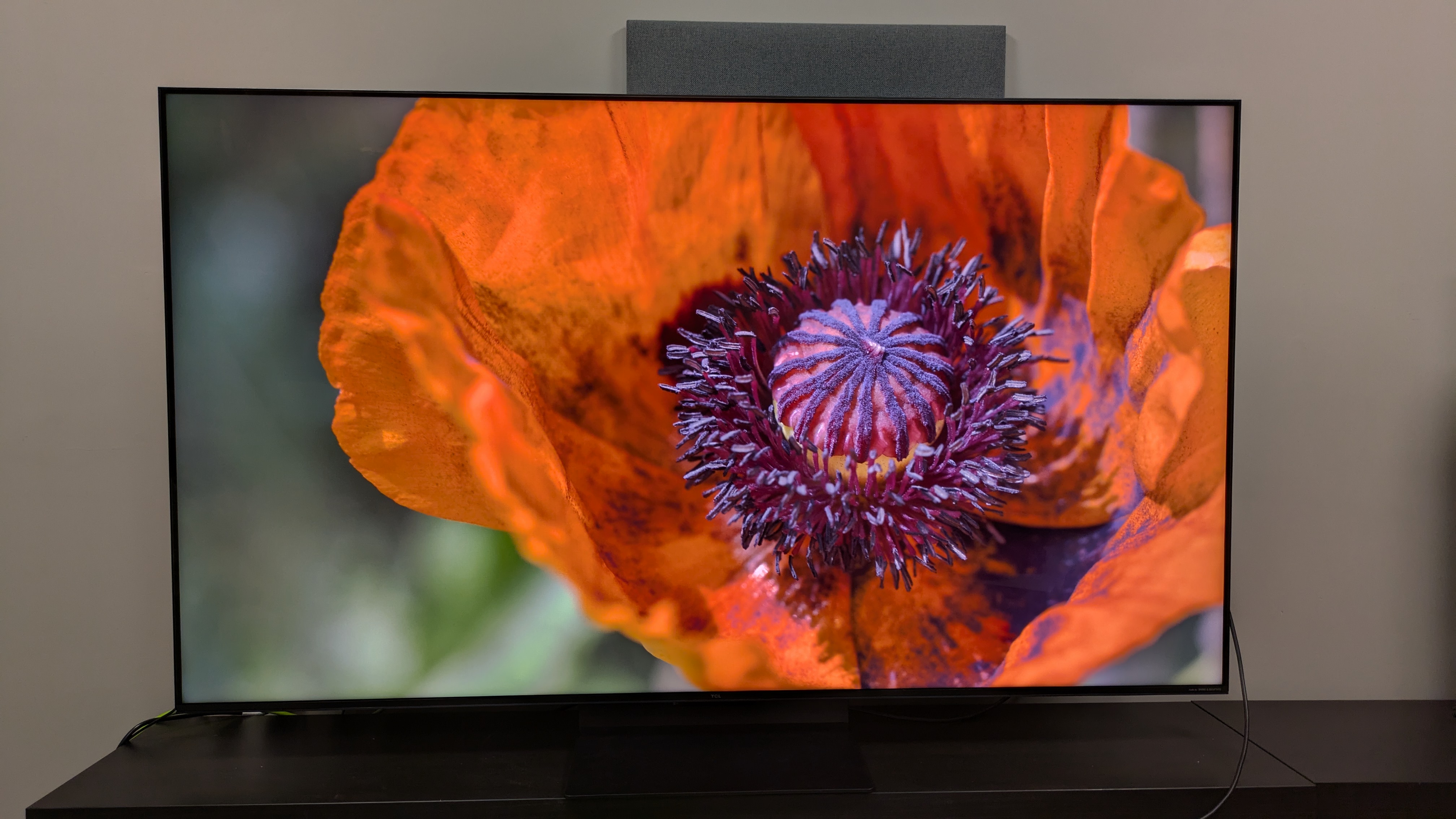 TCL C7K with orange flower on screen