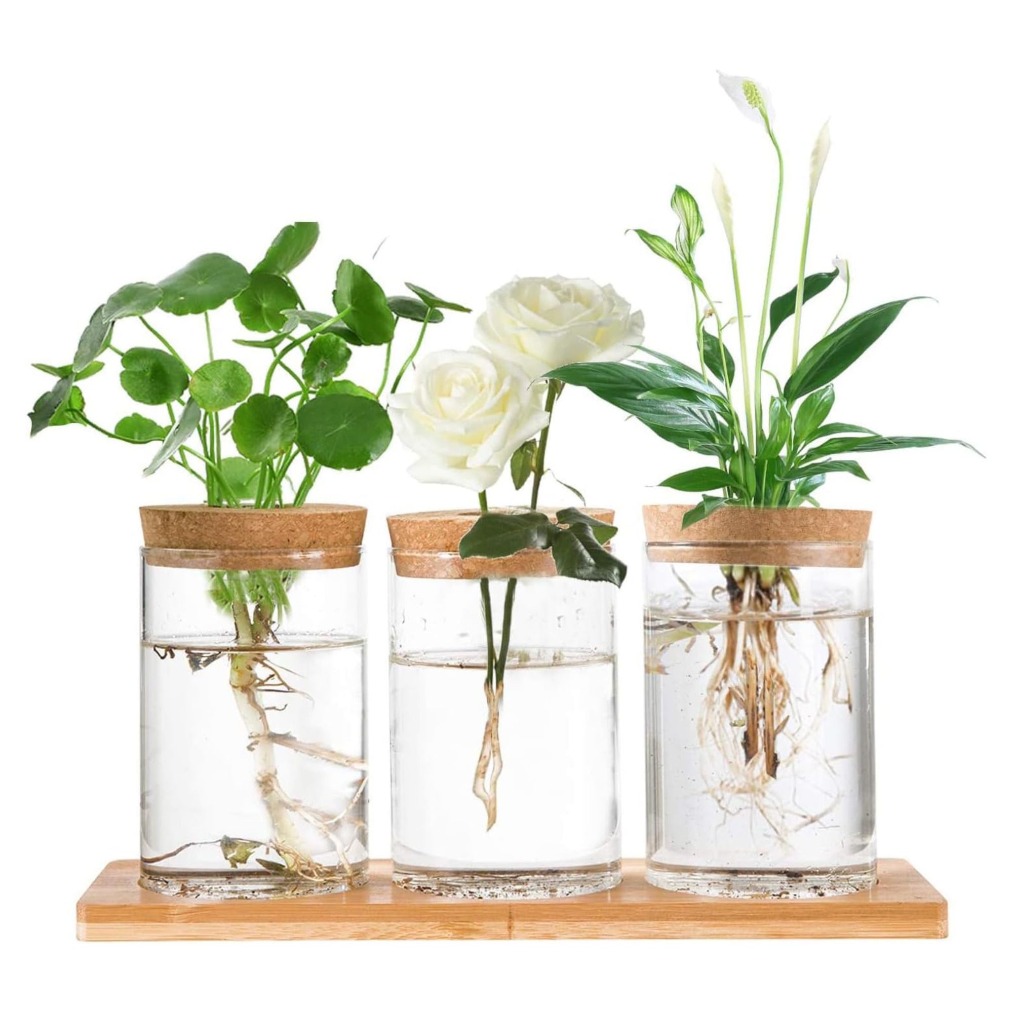 Hniuyun Propagation Stations