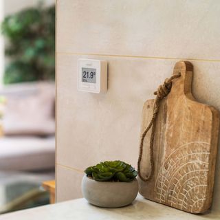 chopping board and succulent next to thermostat