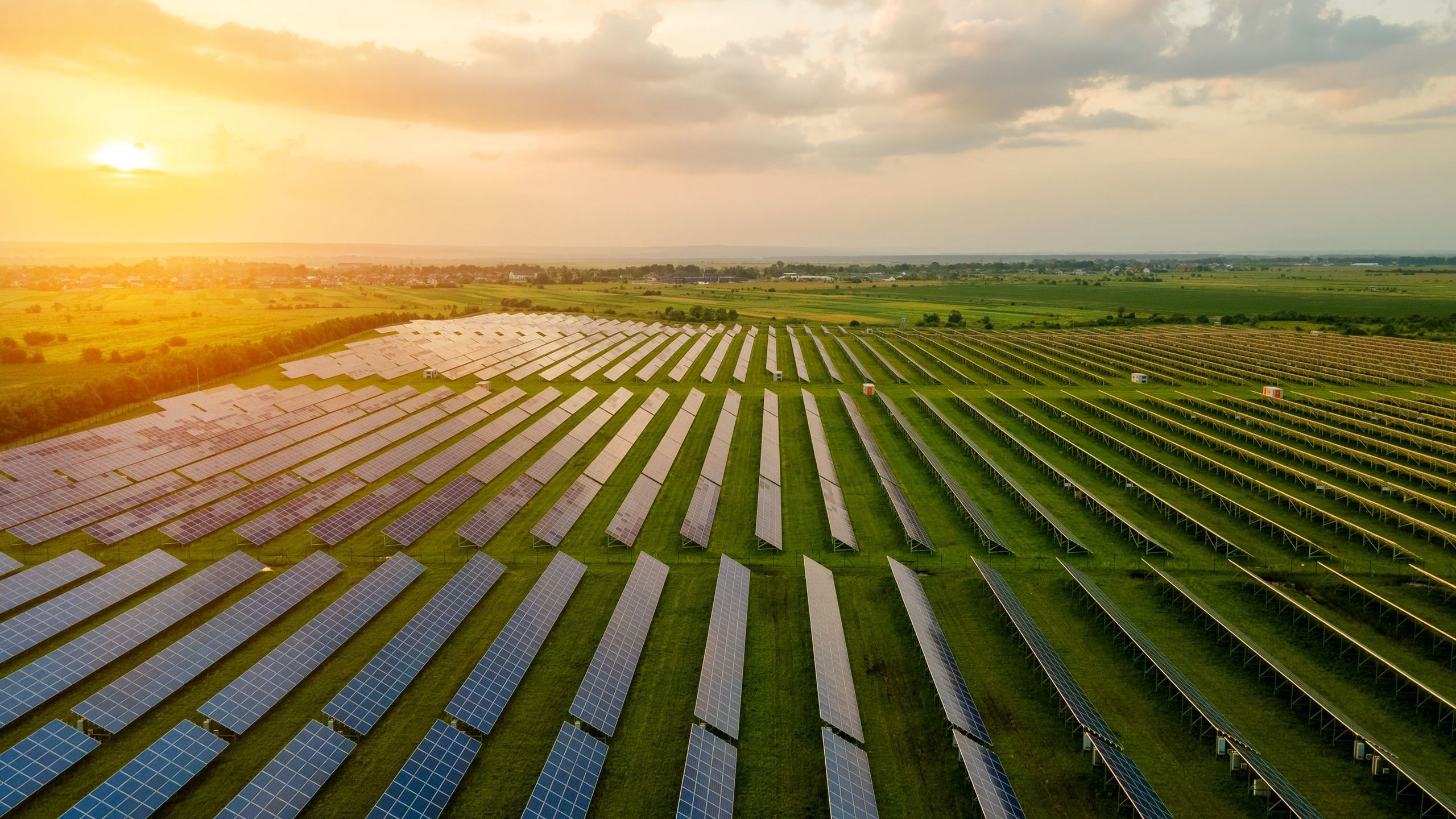 Planting crops in fields of solar panels is more efficient, protects the plants and helps keep workers cool, study finds Planting crops in fields of solar panels is more efficient, protects the plants and helps keep workers cool, study finds