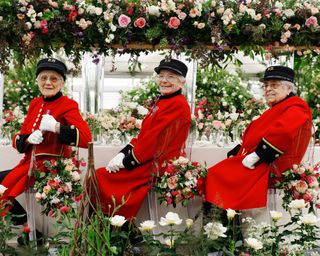 Chelsea pensioners at Chelsea flower show
