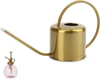 Remiawy Indoor Outdoor Stainless Steel Watering Can: $26 @ Amazon