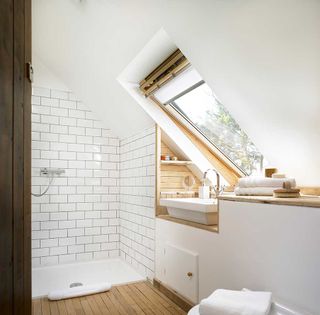 modern farm cottage renovation shower bathroom