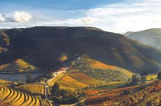 Quinta do Crasto