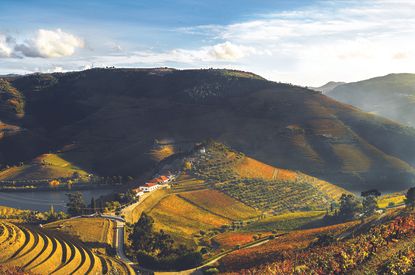 Quinta do Crasto