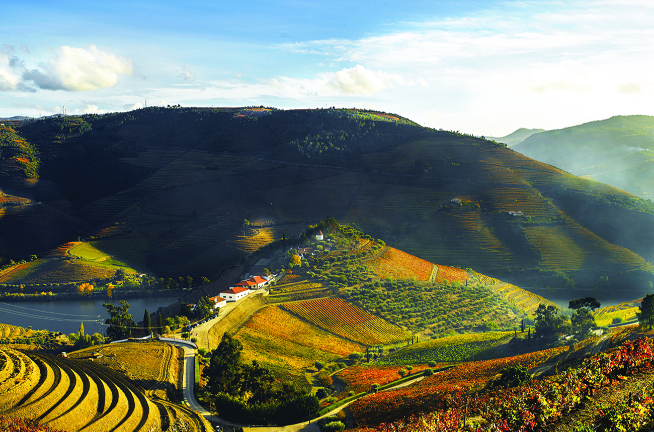 Quinta do Crasto