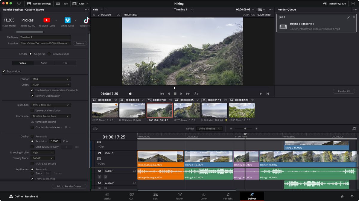 Screenshot of the DaVince Resolve 19 Interface