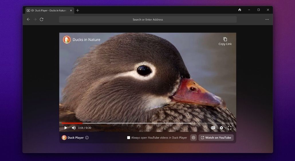 DuckDuckGo&#039;s Duck Player showing a duck