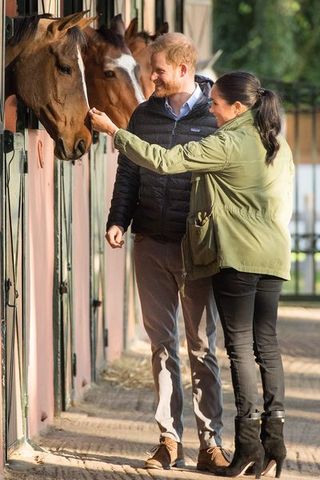 Interaction, Jeans, Photography, Fur, Gesture, Horse, Fawn, Riding boot,