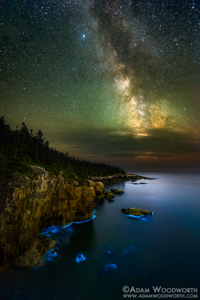 Milky Way and Bioluminescence in Maine