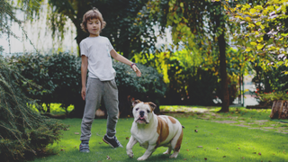 Boy playing with a bulldog breed in the garden