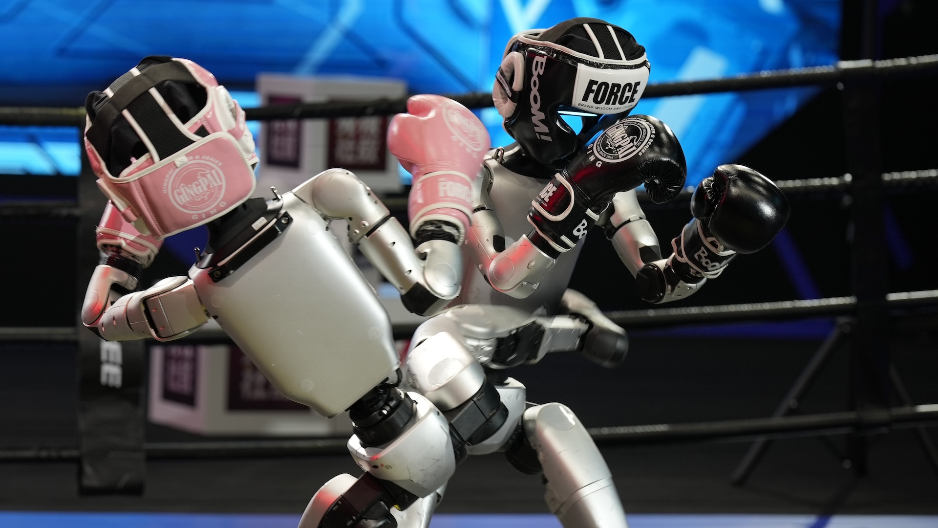Two robots fight in a boxing match