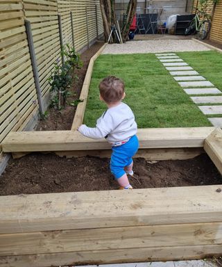 A wooden raised bed filled with soil and a little boy standing in it looking out at the rest of the garden
