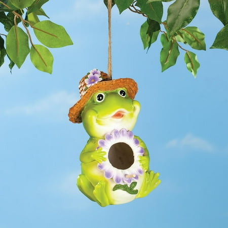 Resin Frog Birdhouse, Crafted With 100% Durable Resin, Multi Use Display, Outdoor D&amp;eacute;cor &amp;ndash; Measures 5 1/2" Long X 6" Wide X 9" High, by Fox River Creations