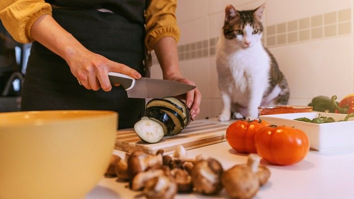 What human food can cats eat? How to treat your kitty with these 6