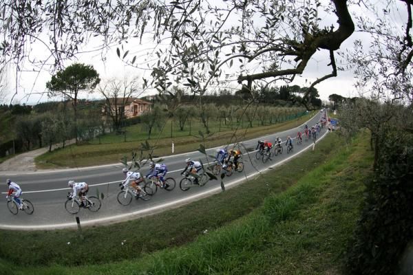 The peloton flys by