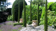 several cypress trees in a large garden border