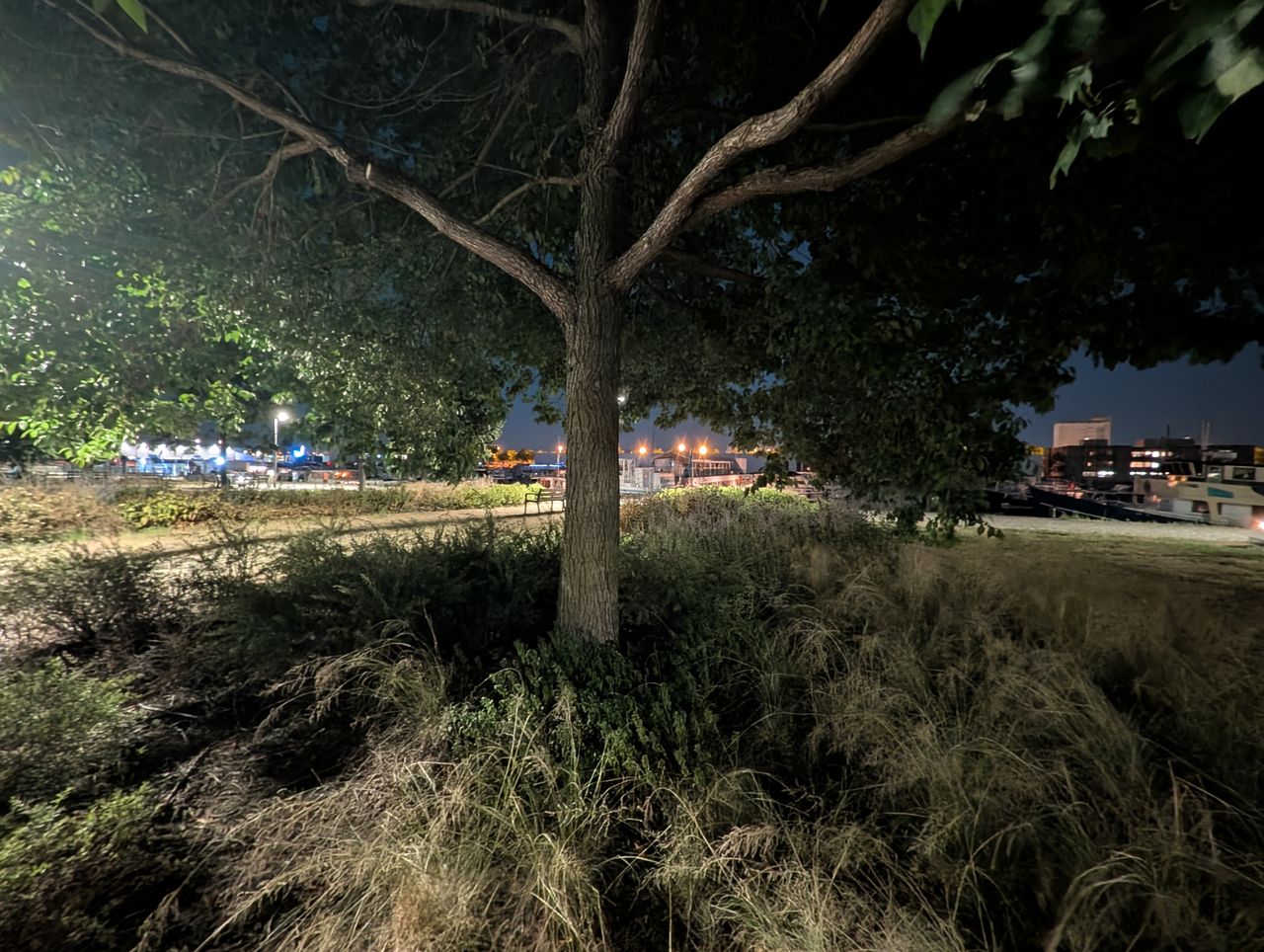 Google Pixel 10 Pro voorbeeldfoto