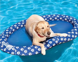 SwimWays Spring Float Paddle Paws Puppy Dog Pool Lounger, Large
