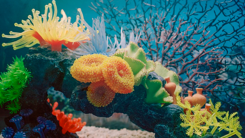 A vibrant underwater scene featuring artificial, multi-colored corals and anemones arranged on a dark rock formation over a bed of light-colored gravel.