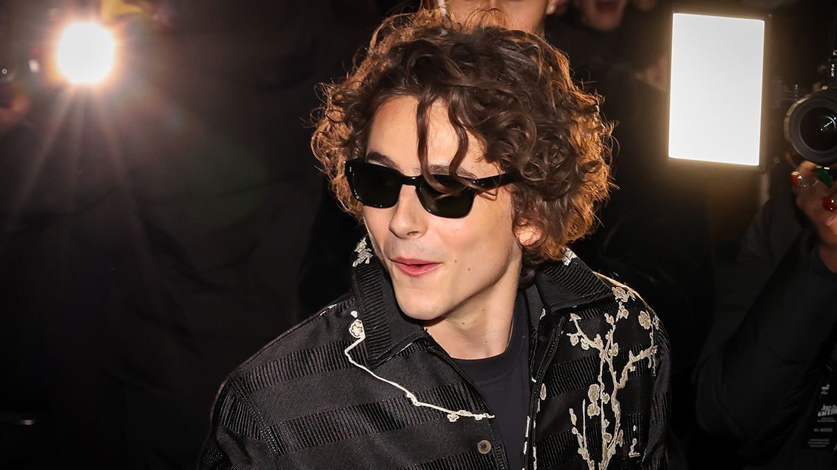 Will Timothée Chalamet Be Singing When He Plays Bob Dylan In New Biopic ...