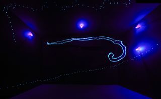 A dark canvas with four purple neon lights and a blue neon "J" shape on its side.