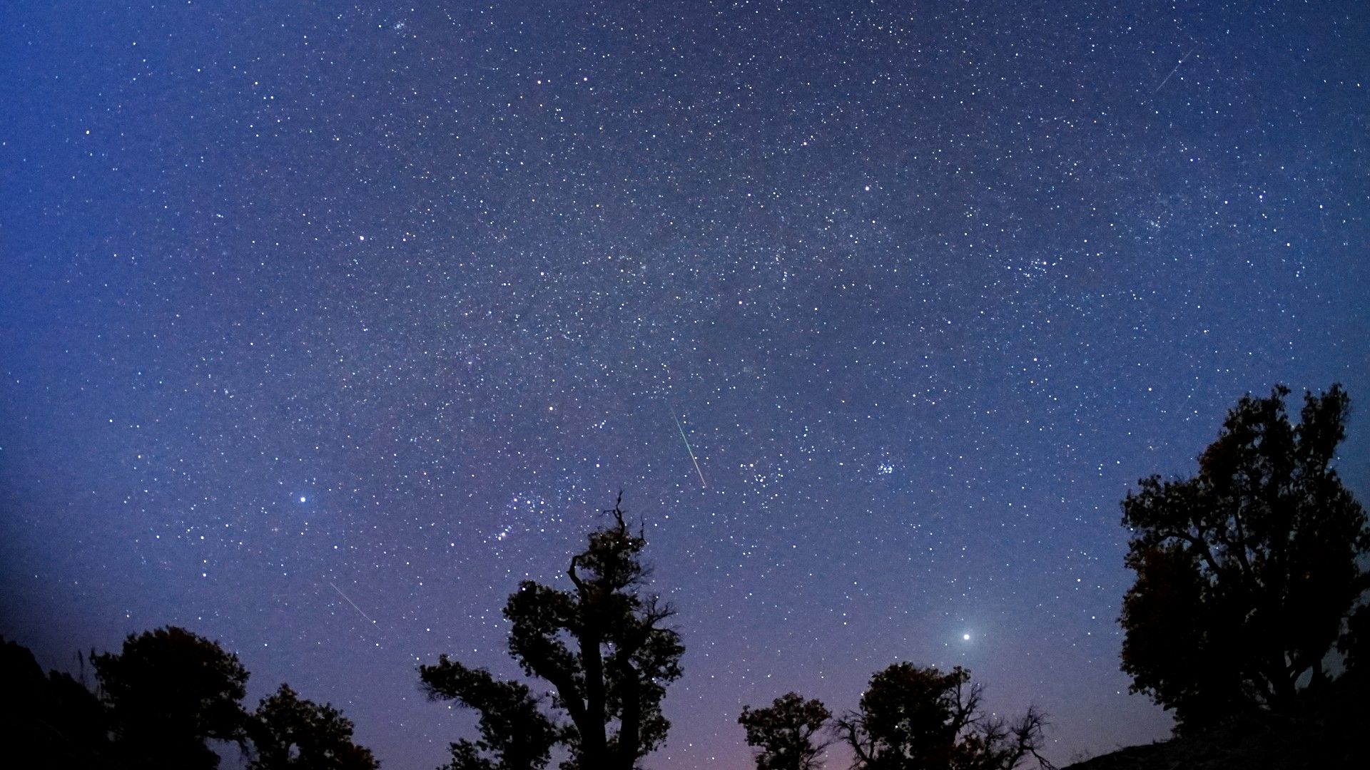 Orionid meteor shower peaks this weekend How to see bits of Halley's