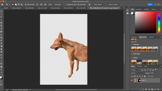 Background removal in Adobe Photoshop CC (2023)