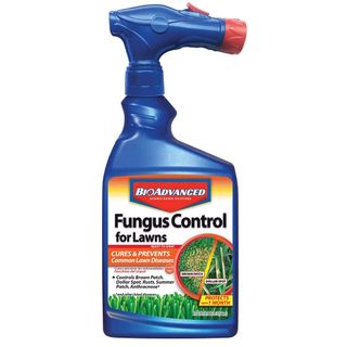 BioAdvanced Fungus Control for Lawns