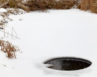 air hole in a garden pond