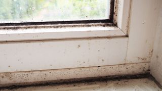 mould on upvc window and silicone sealant