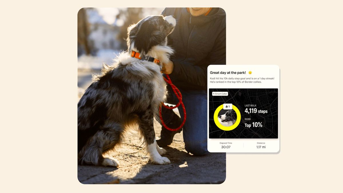 Strava dog tracker